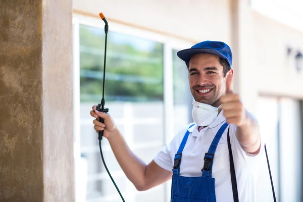 Angleton Wasp Removal