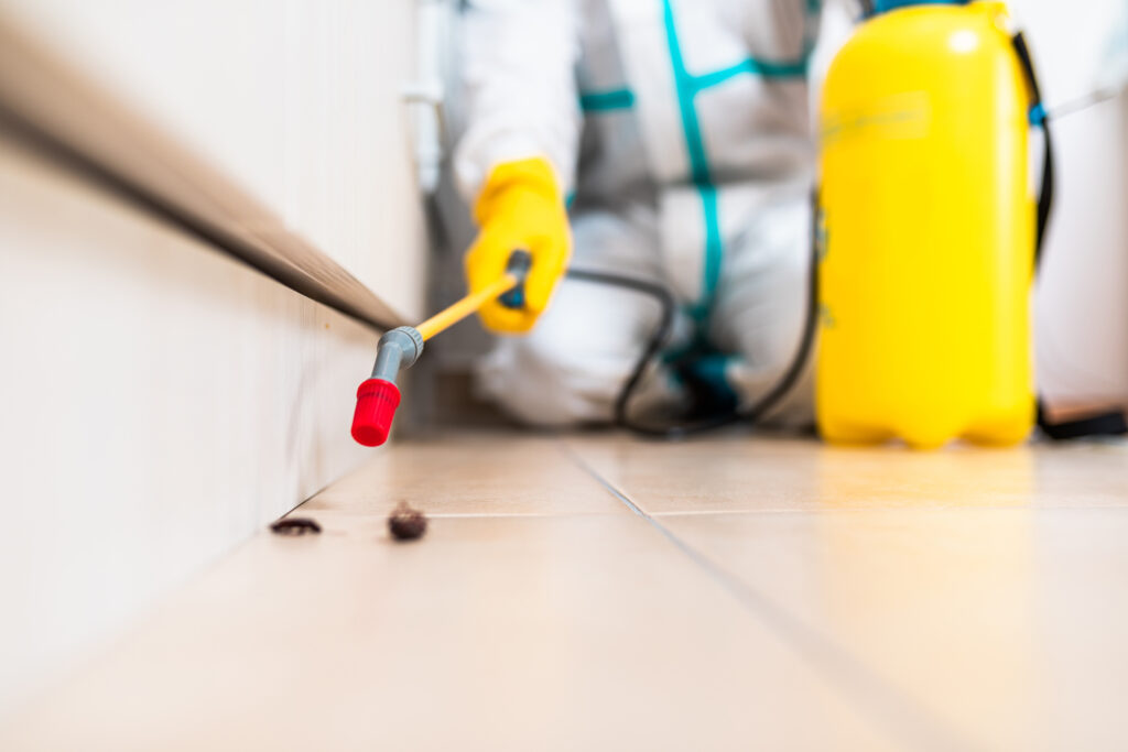 Angleton Cockroach Experts