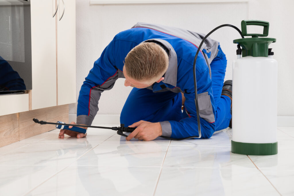 Angleton Ant Control Xperts