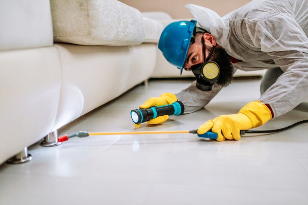 Angleton Termite Control