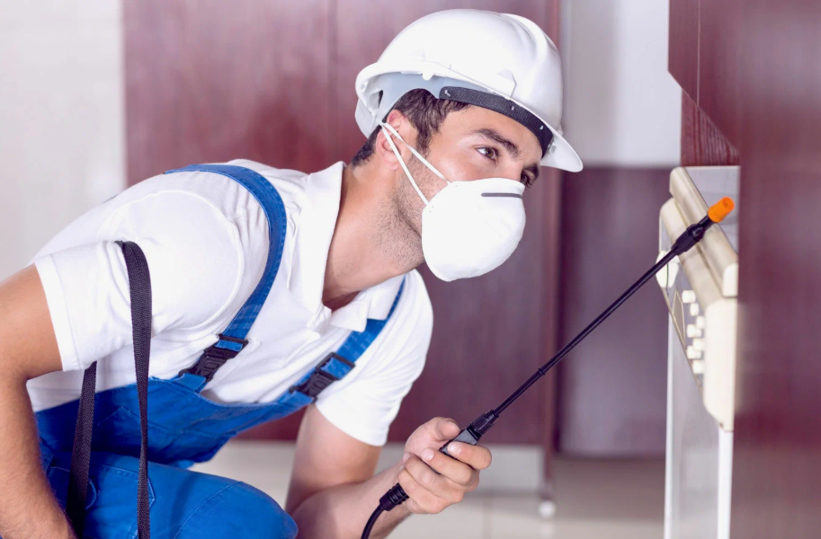 Angleton local pest services