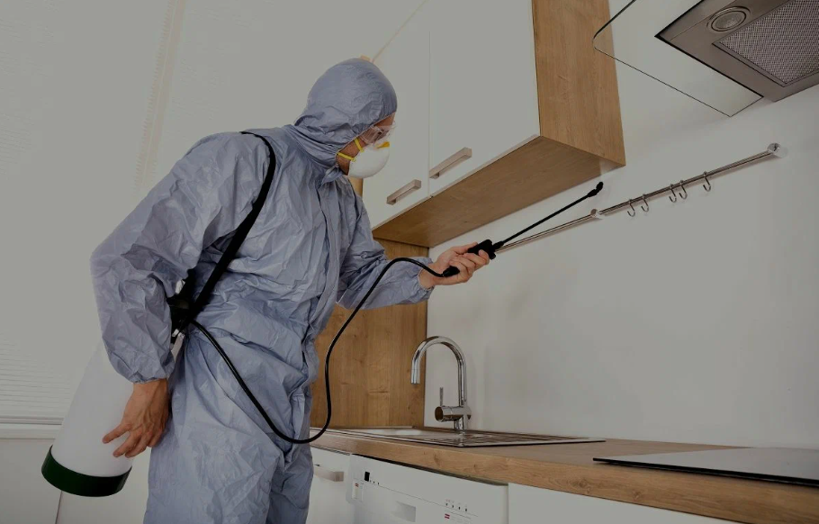 Angleton pest managment